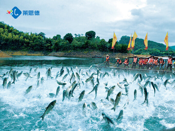 養(yǎng)殖水產(chǎn)氯霉素超標(biāo)怎么測(cè) 快檢設(shè)備哪個(gè)牌子好